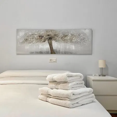 Lemos Estrella 公寓 *